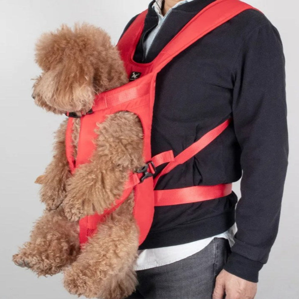 Porte chien Ventral Randonnée
