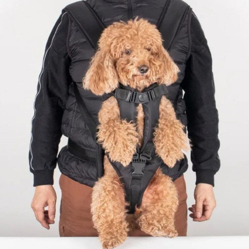 Porte chien Ventral Randonnée