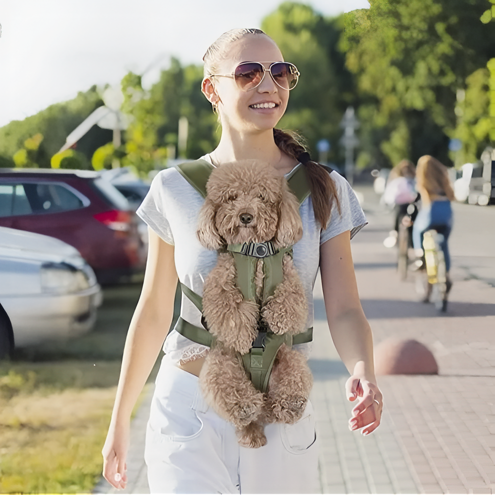 Porte chien Ventral Randonnée