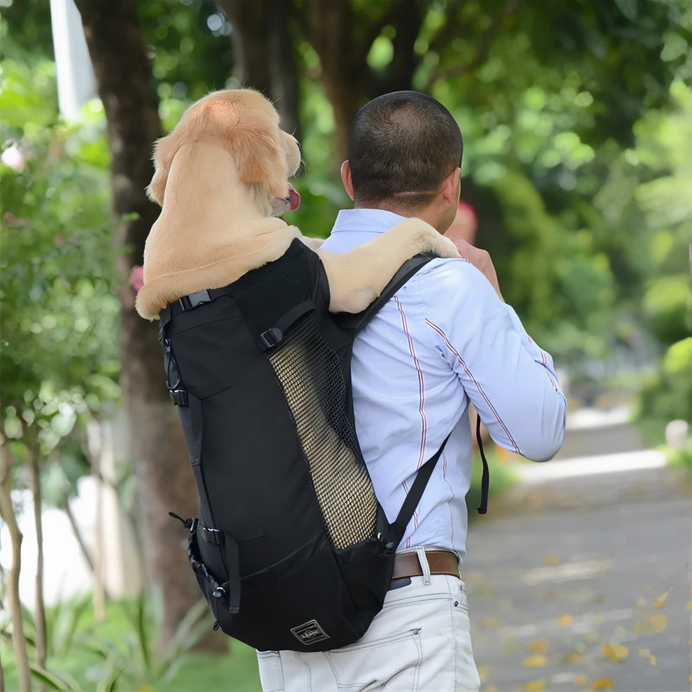 Sac à dos Porte Chien Randonnée