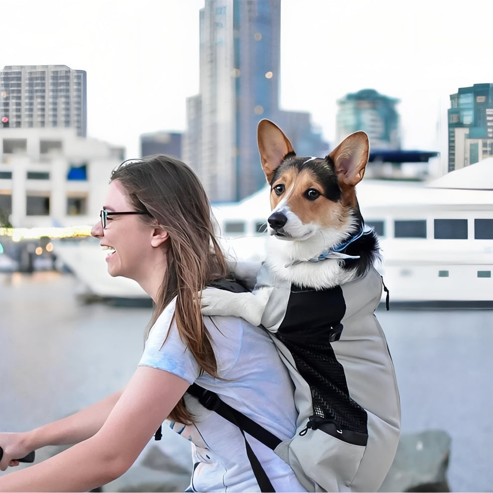 Sac à dos Porte Chien Randonnée